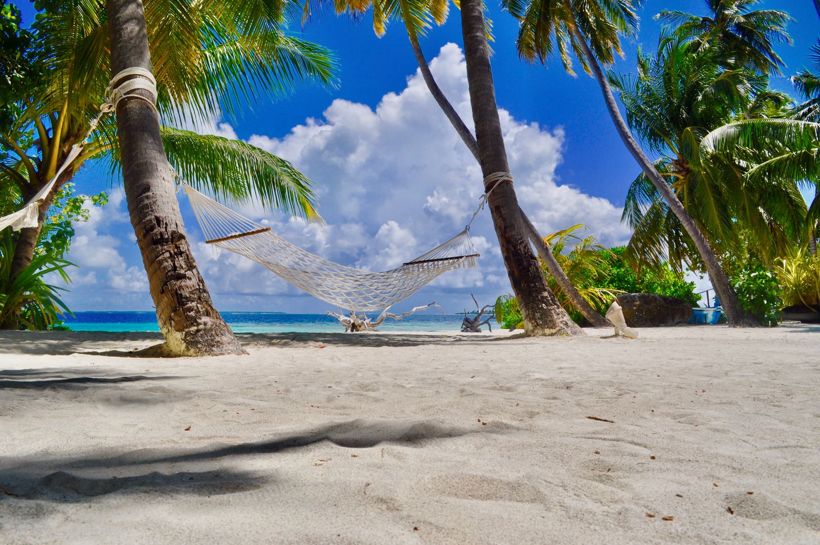 An empty hammock strung between palm trees on a quiet beach